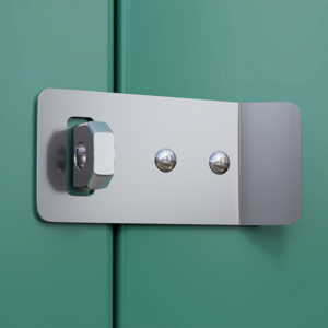 Heavy Duty Stainless Steel Hasp & Staple